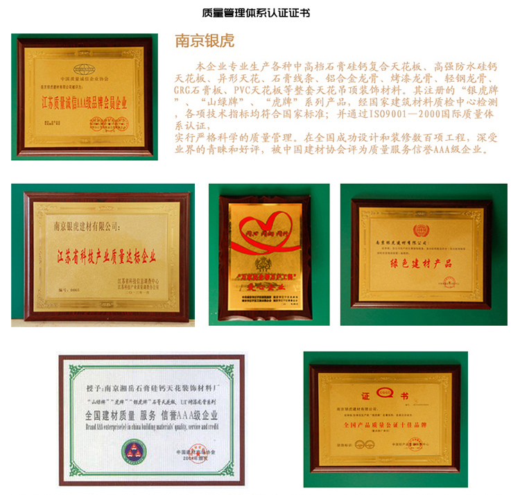 羅馬柱、羅馬柱頭系列